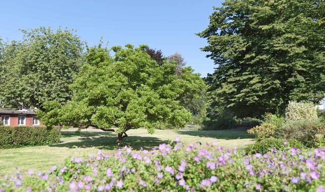 Garten